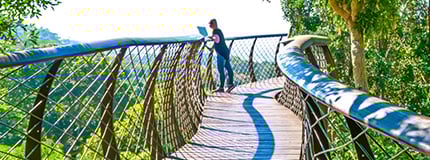 Kirstenbosch-Botanical-Gardens-mobile