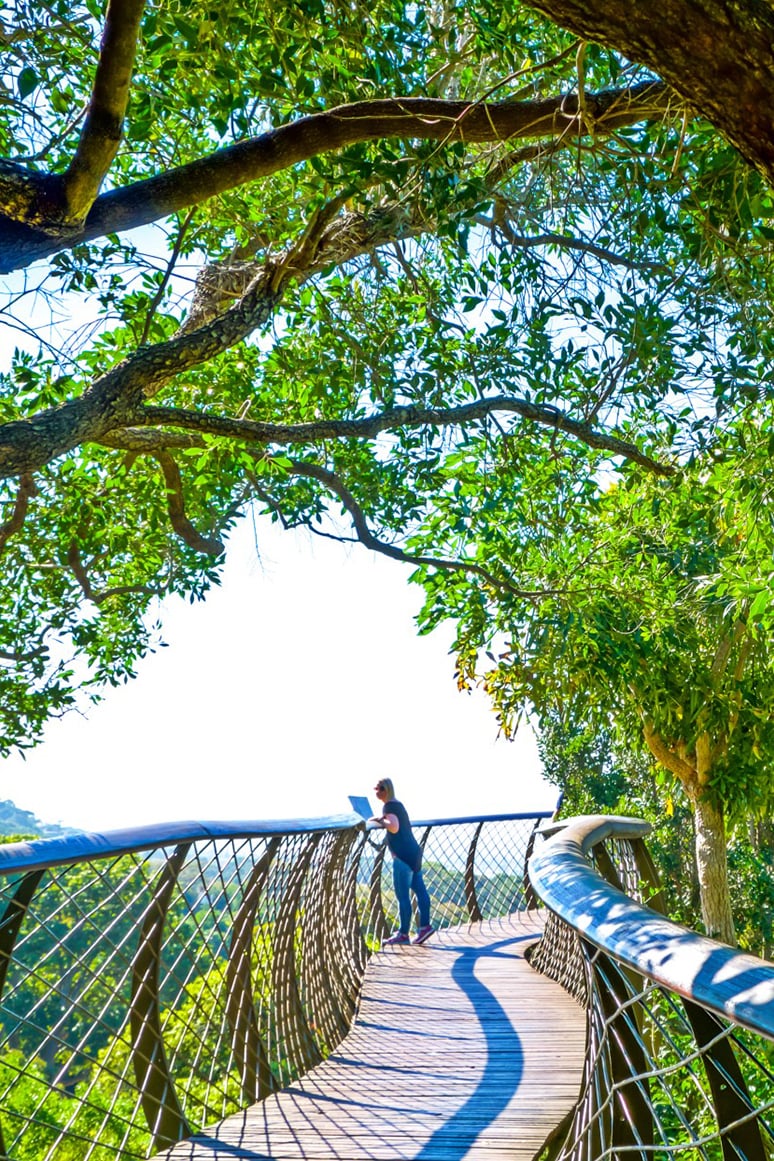 Kirstenbosch-Botanical-Gardens