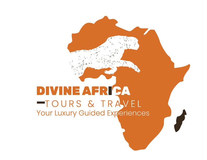 Divine Africa Tours and Travel (Pty)