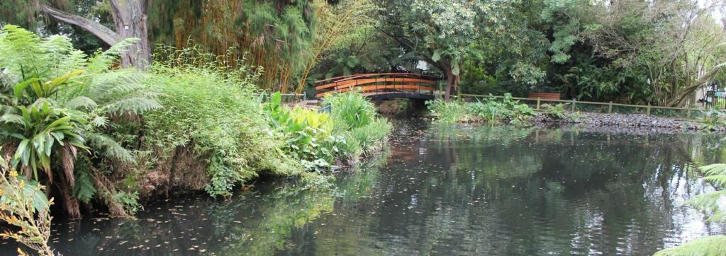 cape-town-tourism-guide-claremont-cape-town-tourism