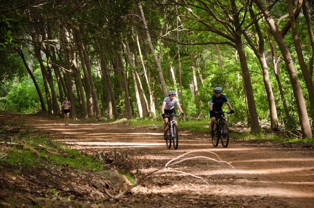 zone Mauve ondergeschikt Mountain bike trails in Cape Town and surrounds - Cape Town Tourism