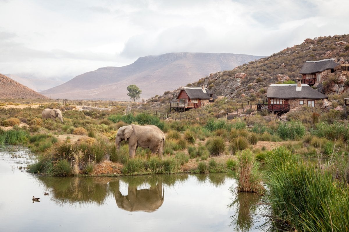 Luxury at Aquila - Cape Town Attractions - Cape Town Tourism