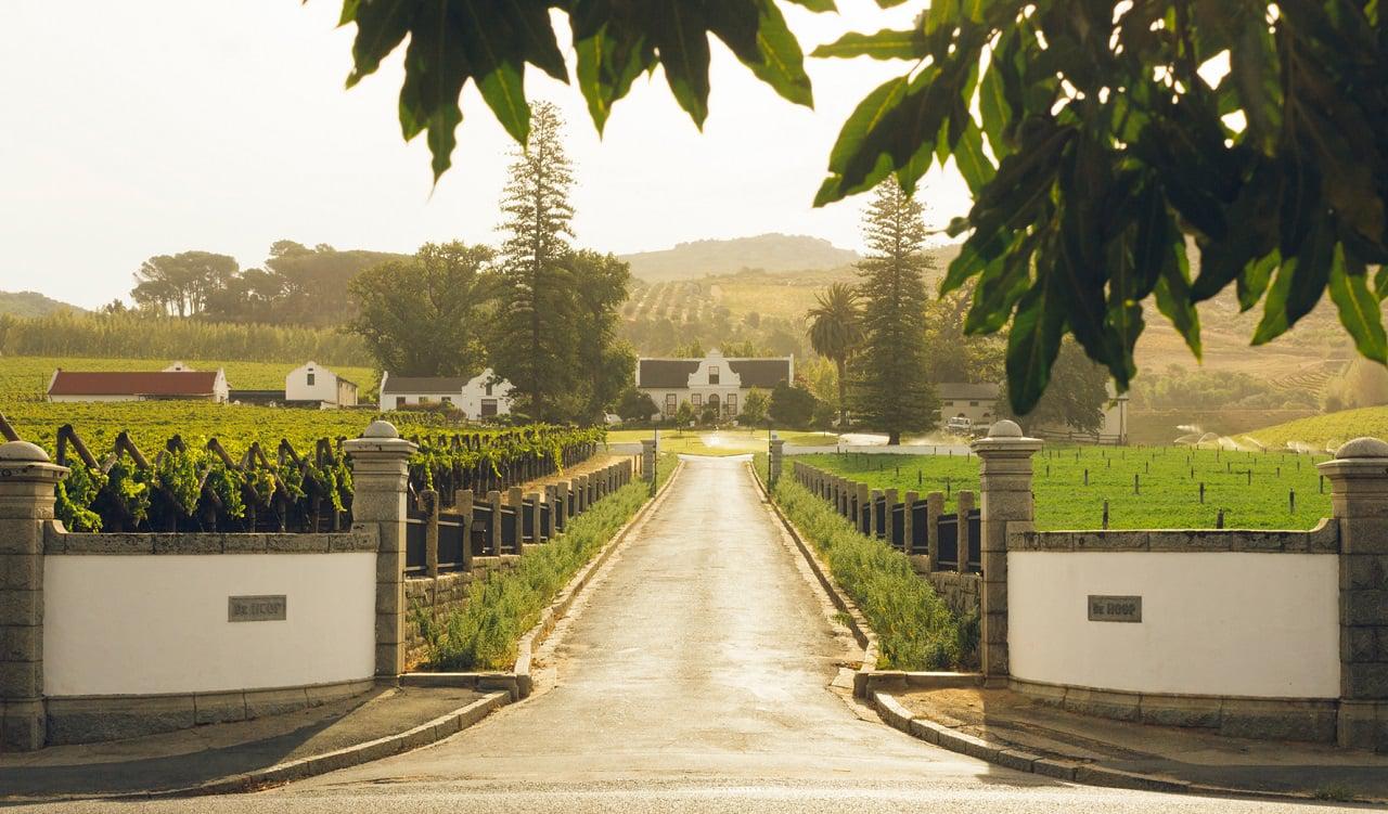 Constantia wine route