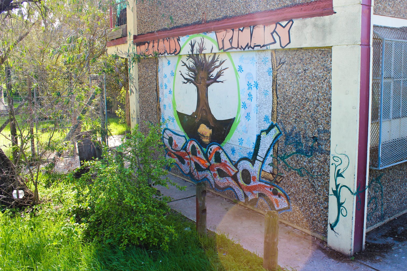 Street Art Grafitti Mural in Mitchells Plain