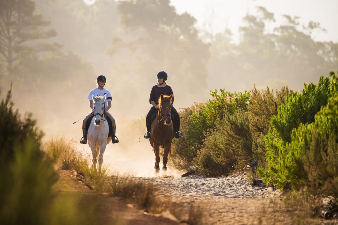 horse riding in Cape Town