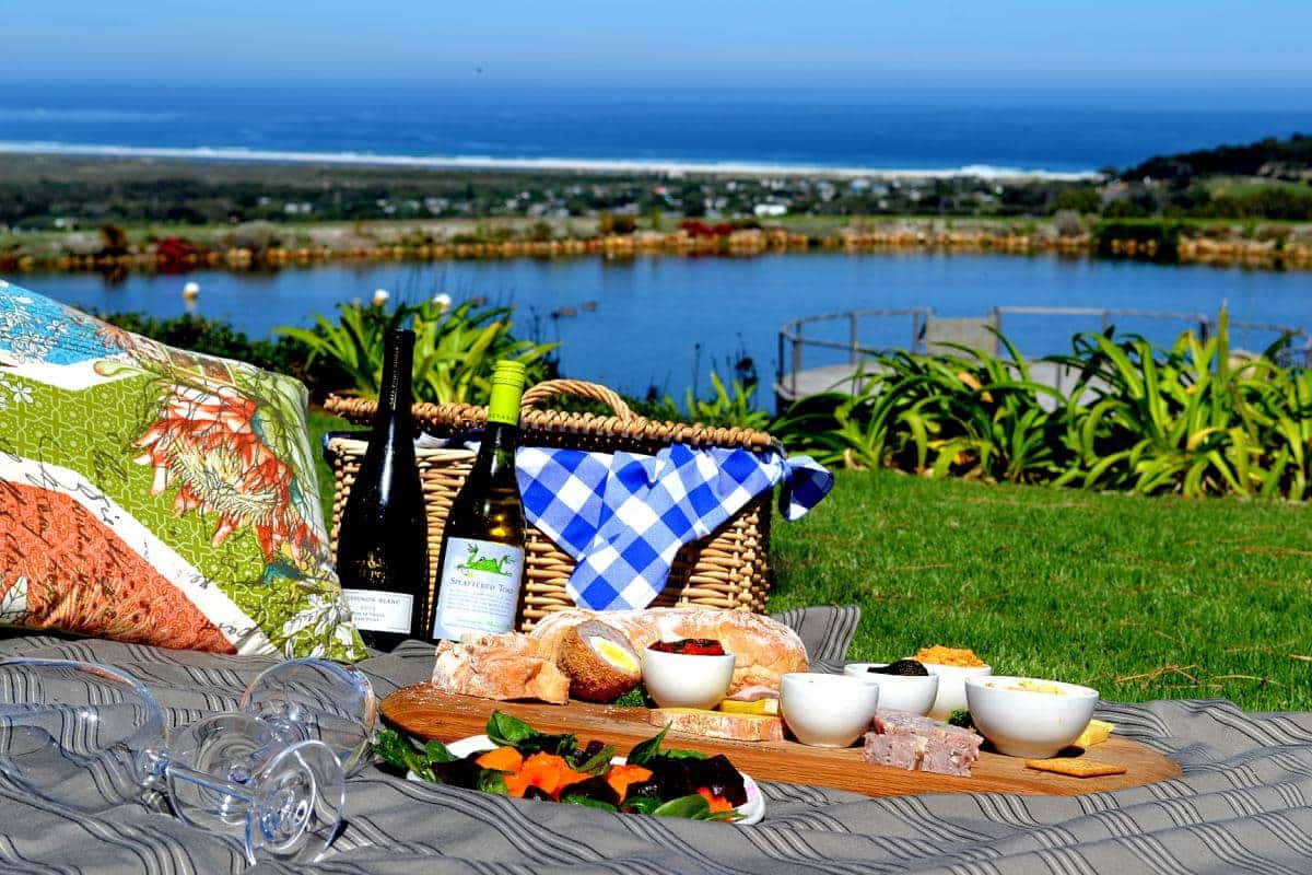 The Cape Point Vineyard