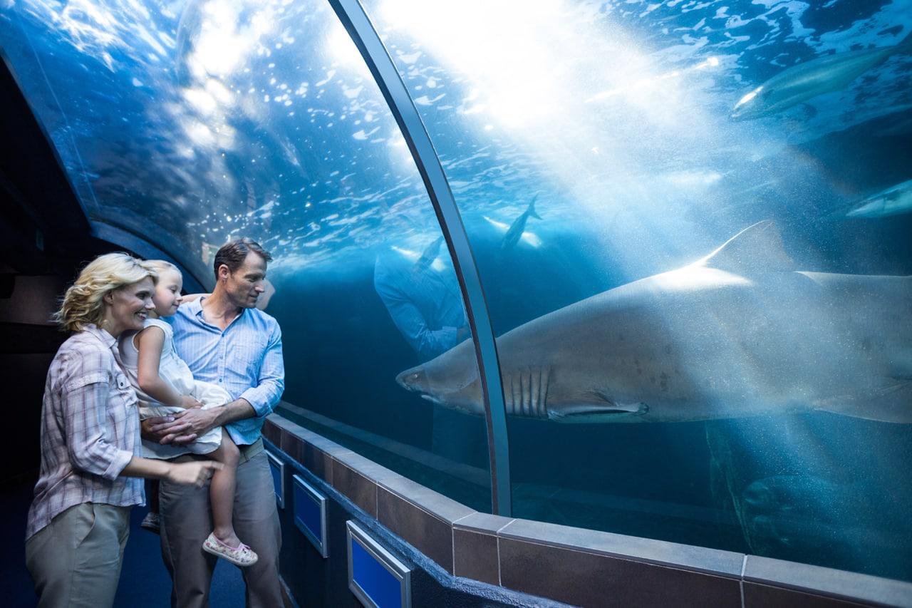 family at the aquarium