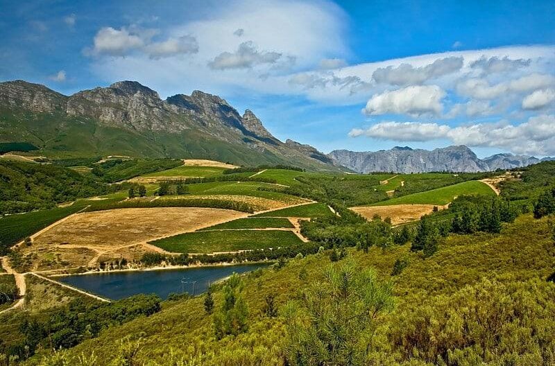 African Eagle Day Tours Cape Town South Africa African Eagle Day Tours - Cape Town Tourism