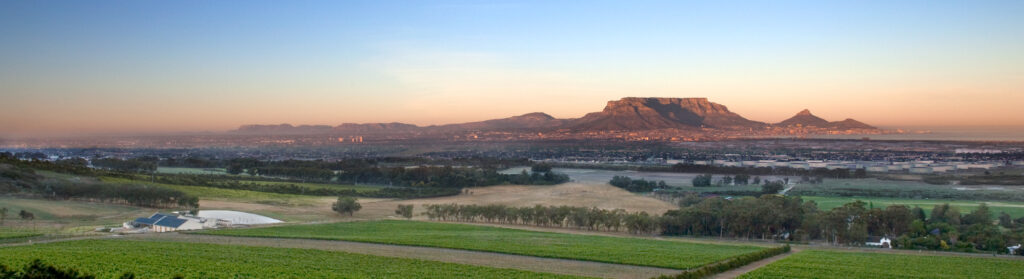 De Grendel Wines