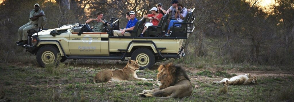Lion of Africa Travel