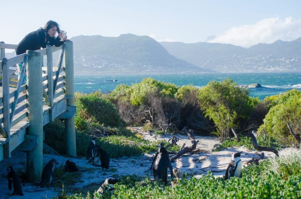 Boulders Beach