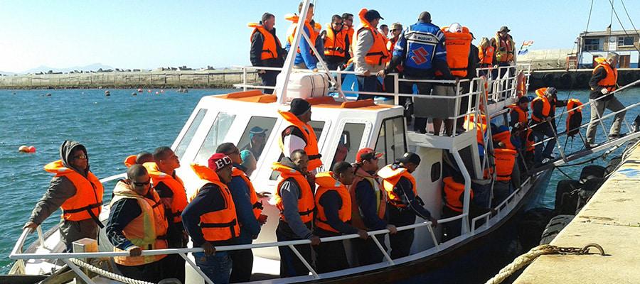 hermanus whale cruisers