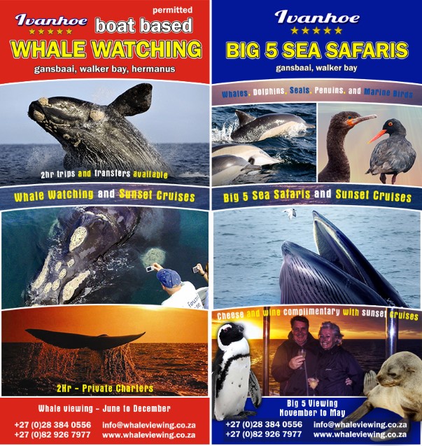 Ivanhoe Sea Safaris