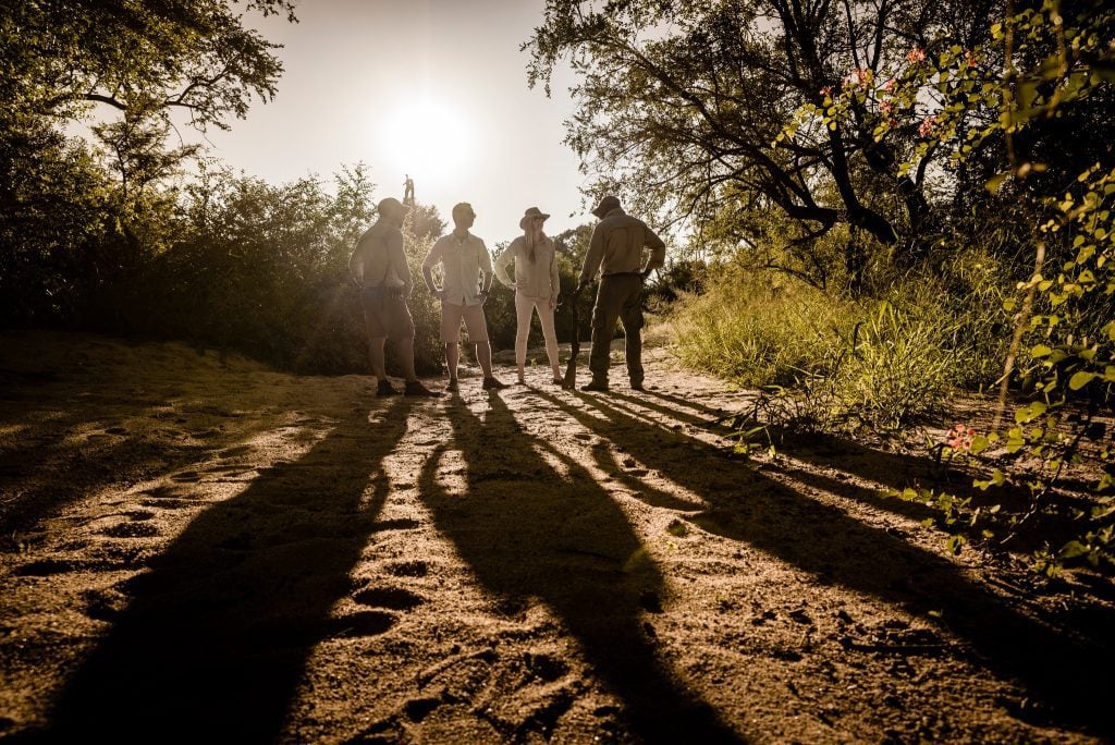 Sumptuous Tours | Luxury African Travel and Safaris