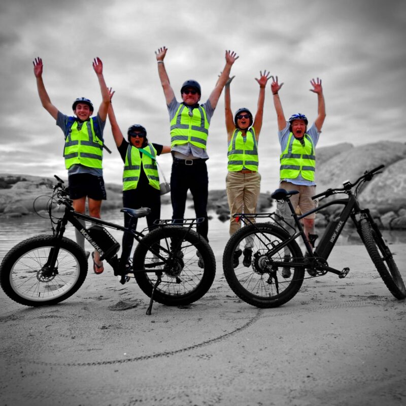 Freedom Adventure Park - Cape Town Tourism