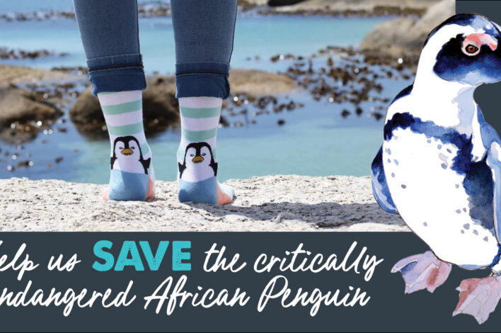 Save the African Penguin