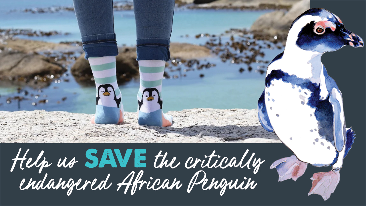 Save the African Penguin