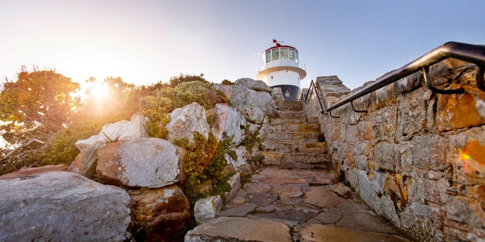 Explore Cape Point