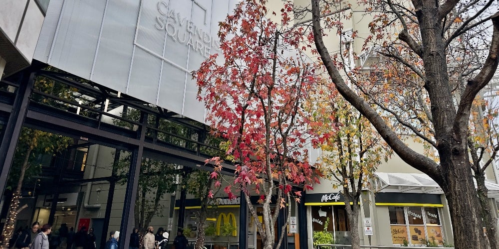 cavendish mall in claremont cape town