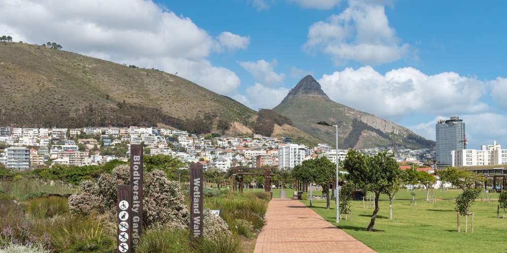 Green Point Park, Cape Town | Grobler du Preez
