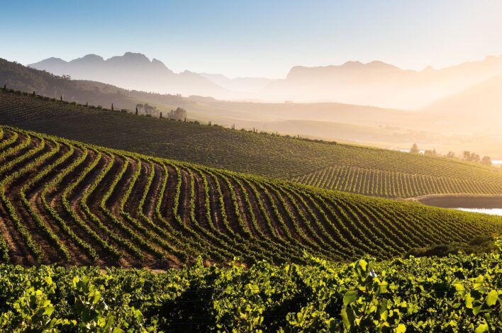 Cape Town Wine Farms