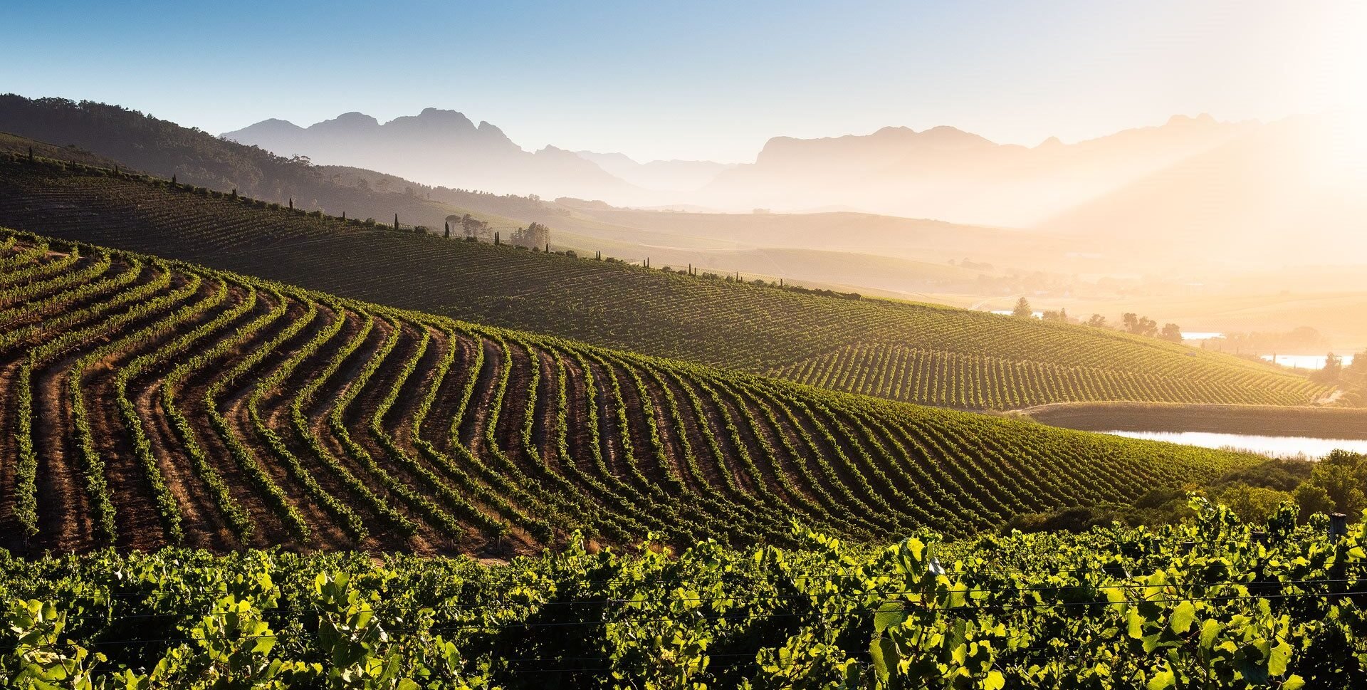Luxury Stays At Top Wine Farms In Cape Town