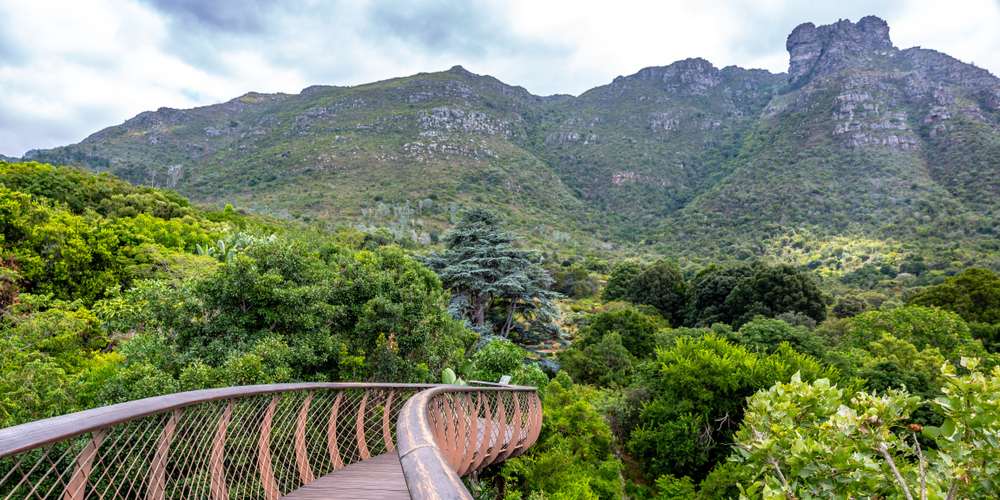 Kirstenbosch Gardens, Cape Town