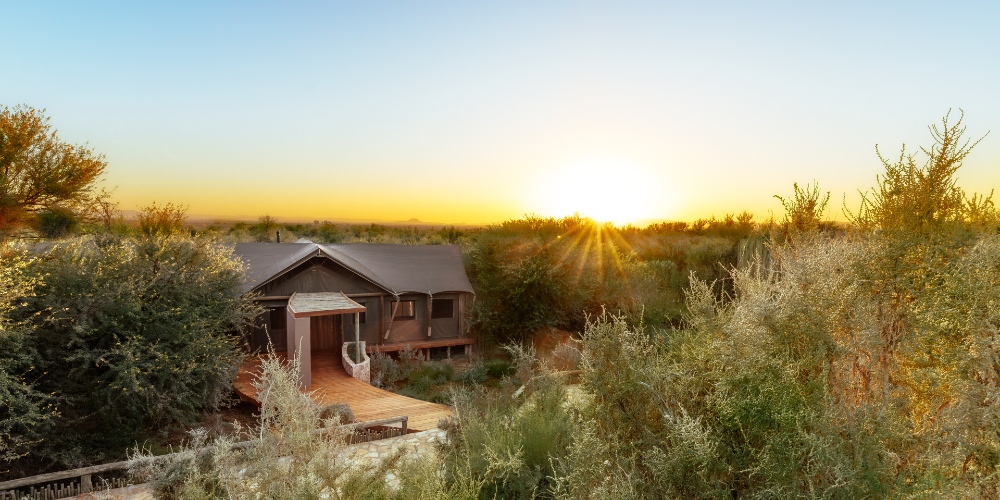 Inside Kuganha, the Ultra-Luxury Safari Retreat Just Two Hours from Cape Town Inside Kuganha, the Ultra-Luxury Safari Retreat Just Two Hours from Cape Town
