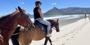 Noordhoek beach horse
