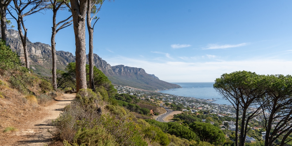 Free Hikes and Nature Walks in Cape Town to Try This Winter