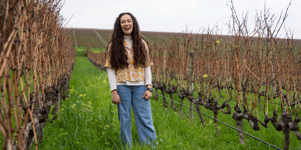 Shannon Jacobs, Groot Constantia