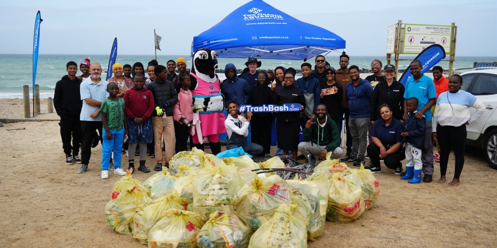beach clean-ups cape town