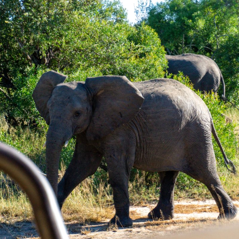 Designer Needed Cape Town Tourism