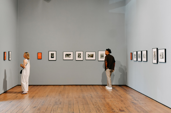 Zeitz MOCAA Members Gallery Walk: Southern Guild & Everard Read