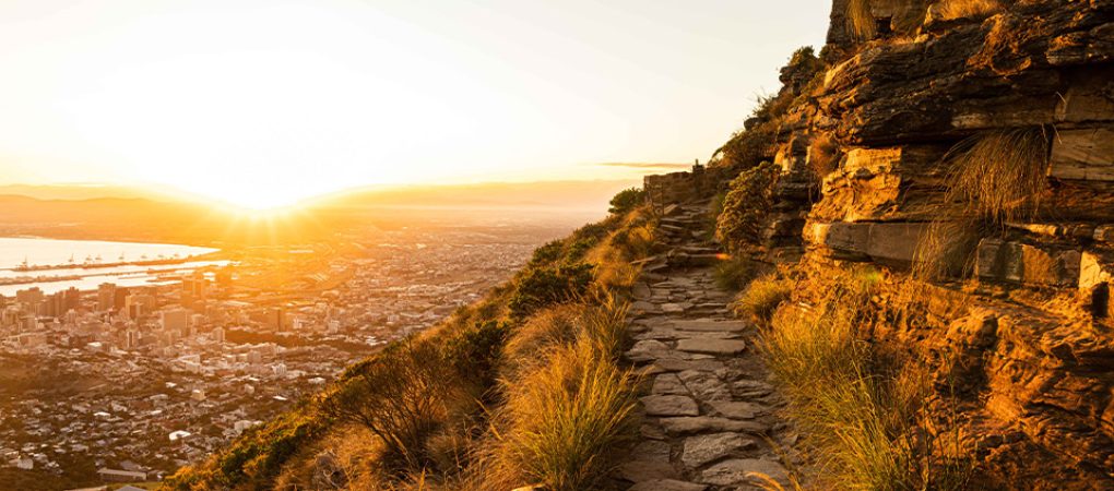 Nature Experiences in Cape Town
