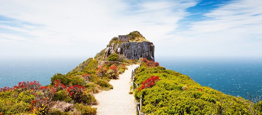Cape Town's Top Attractions
