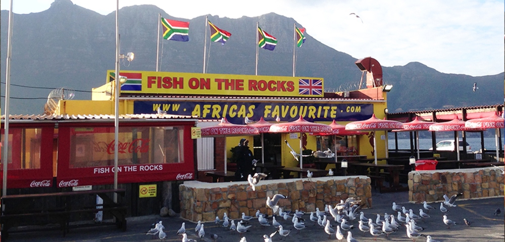 Fish on the Rocks