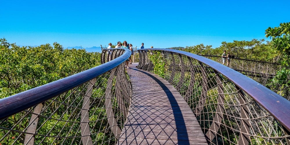 boomslang