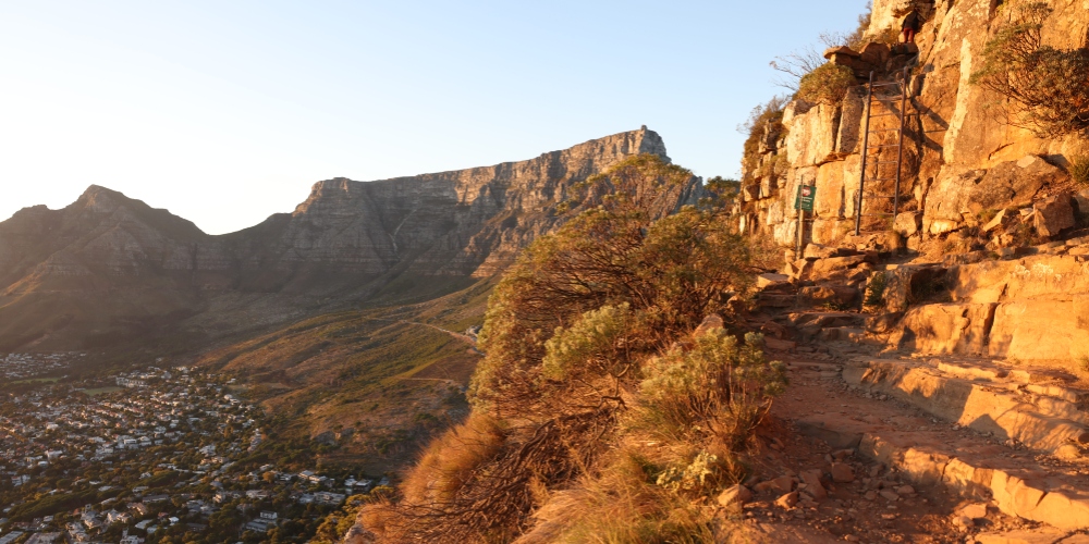 Lion's Head is a popular hike in Cape Town- known for its stunning views of the city.