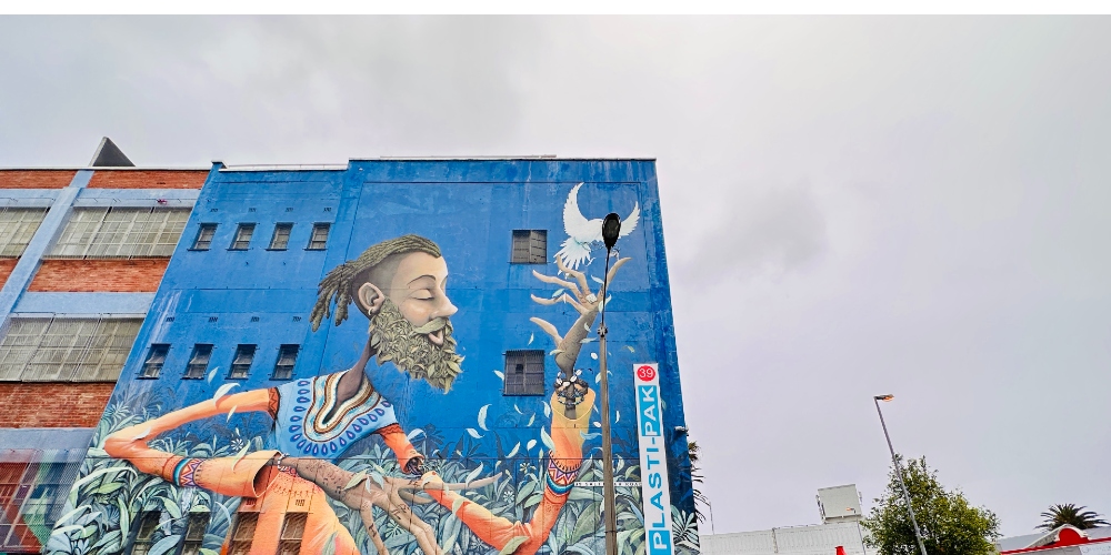 Man with the dreadlocks, Salt River street art