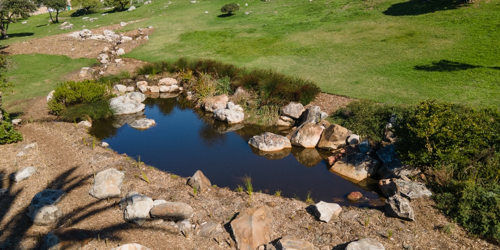 Muizenberg Park.