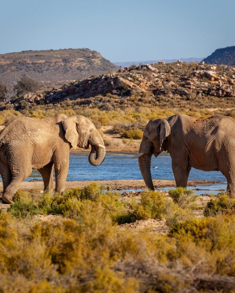 Explore Cape town