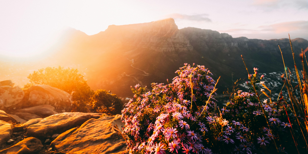 Neurodiverse Travel In Cape Town: Inclusive Holidays For Families