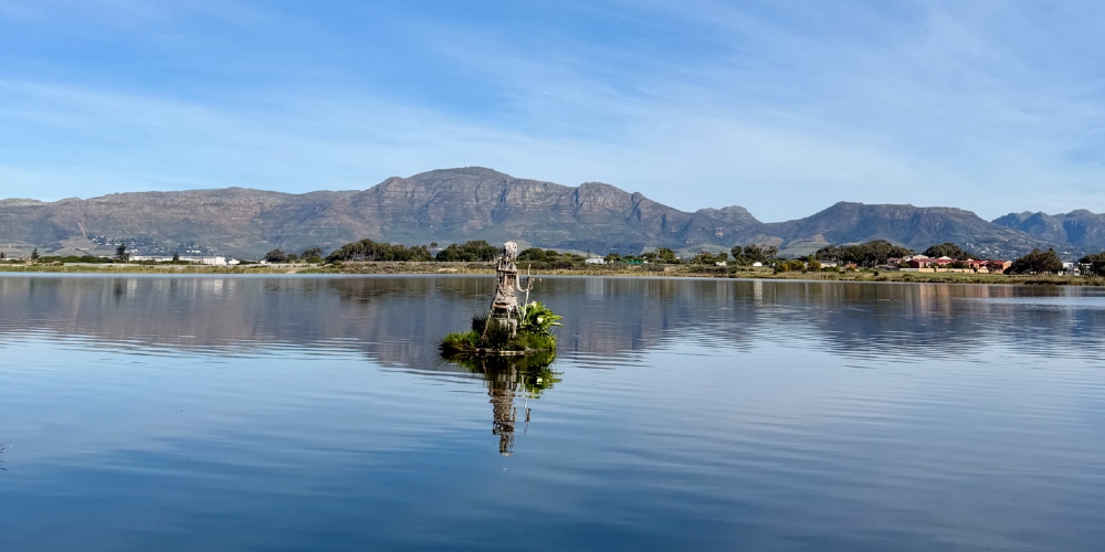 Princess Vlei in Grassy Park