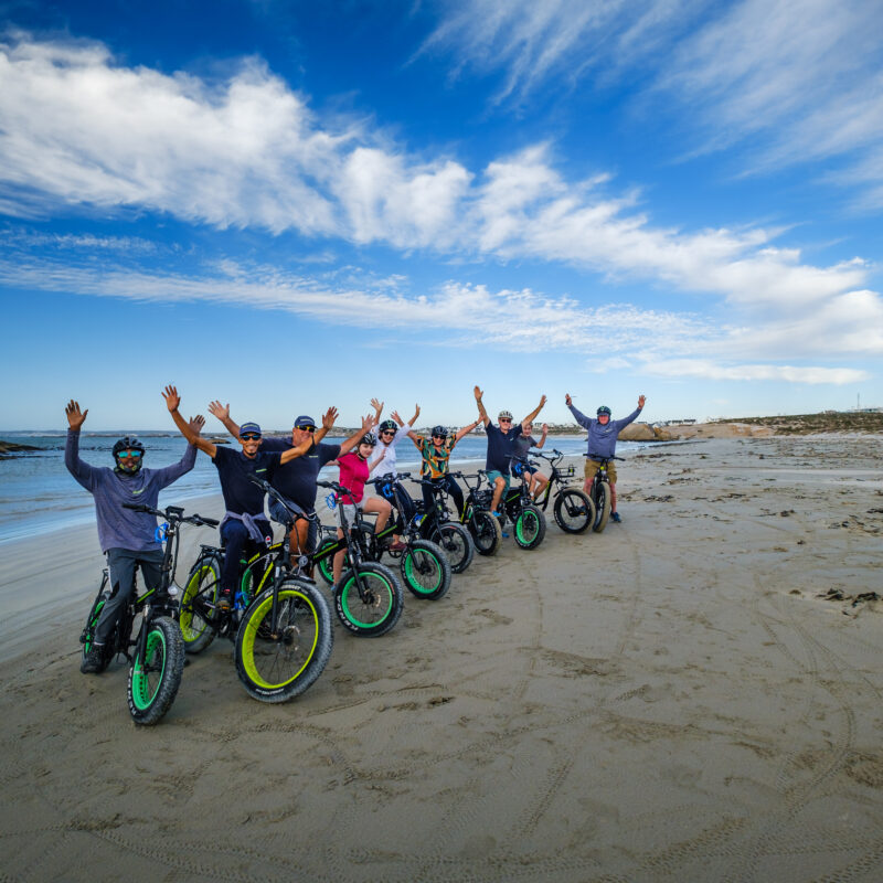 Freedom Adventure Park - Cape Town Tourism