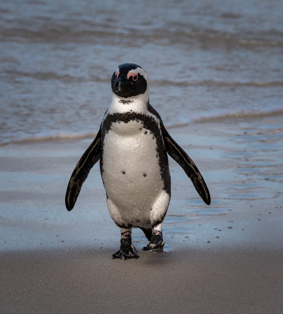 Itchy Feet Tours and Safaris
