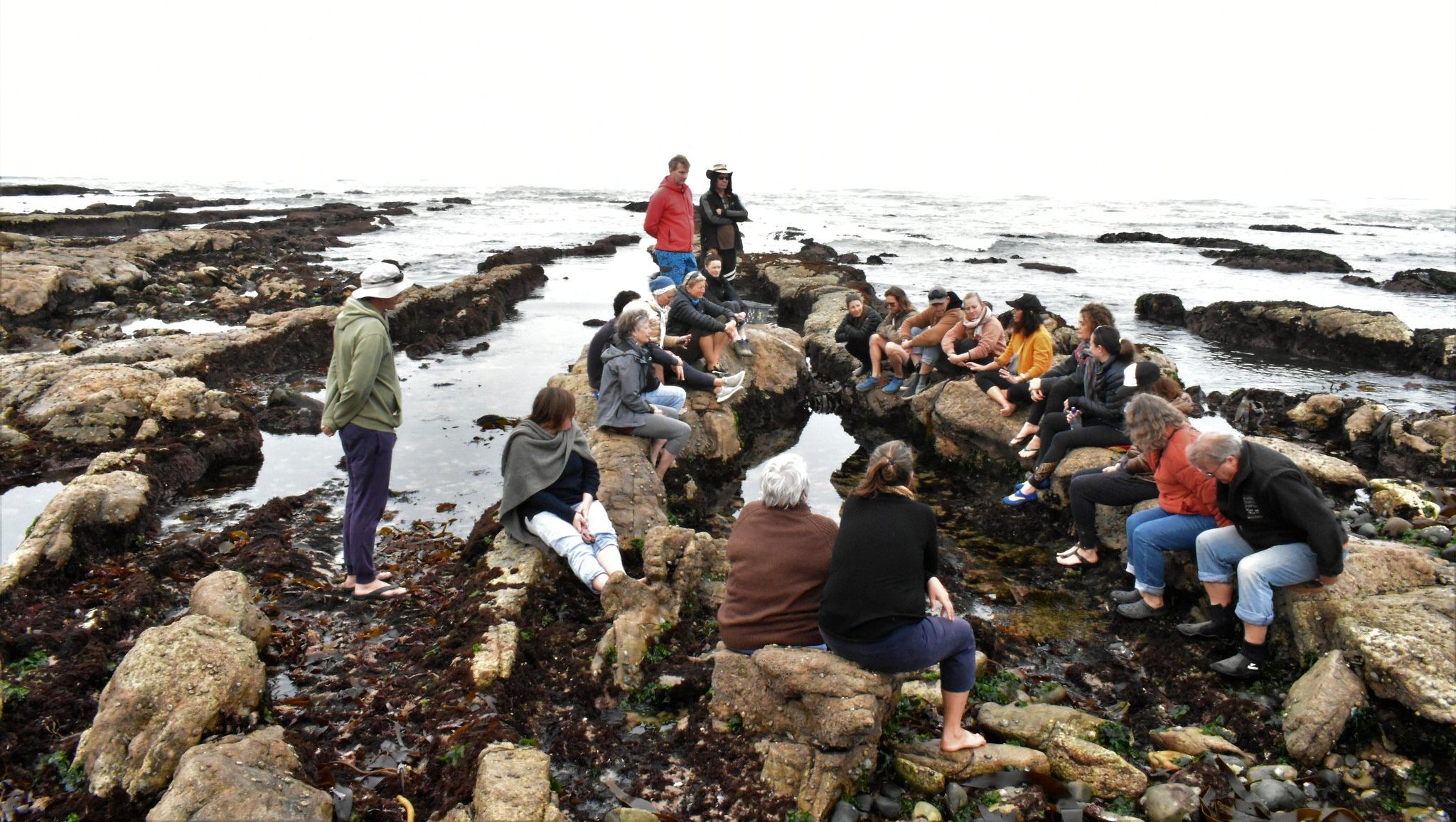 Todo sobre los talleres de alimentos sostenibles de Ciudad del Promontorio Todo sobre los talleres de alimentos sostenibles de Ciudad del Promontorio