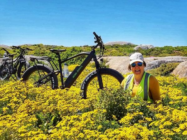 Freedom Adventure Park - Cape Town Tourism
